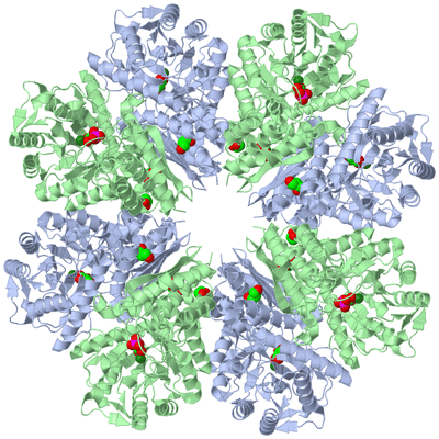 Image Biological Unit 1