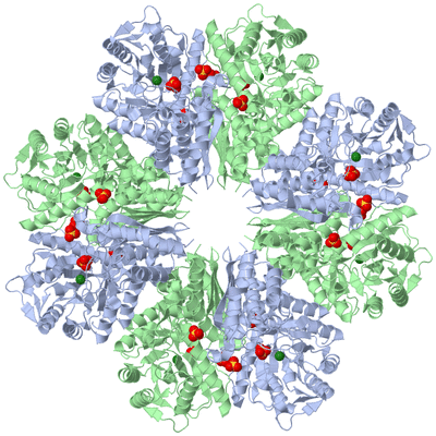 Image Biological Unit 1