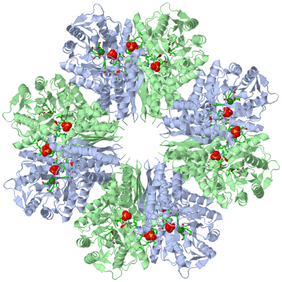 Image Biol. Unit 1 - sites