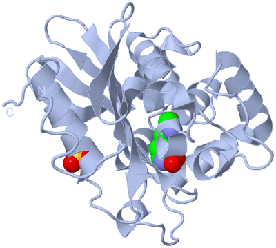 Image Biological Unit 1