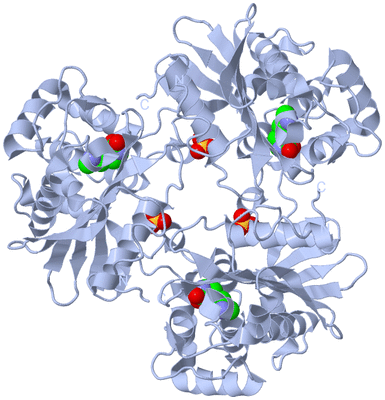 Image Biological Unit 2