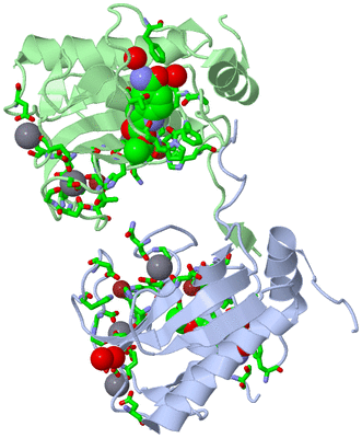 Image Asym./Biol. Unit - sites