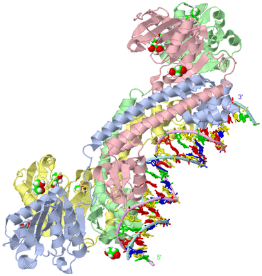 Image Asym./Biol. Unit