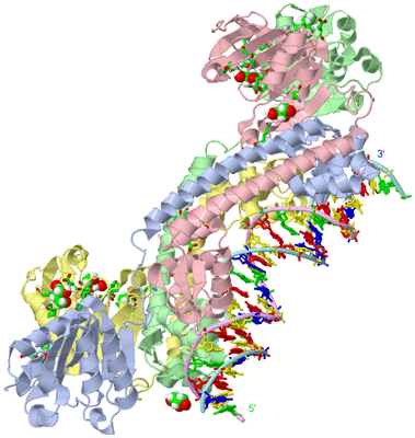 Image Asym./Biol. Unit - sites