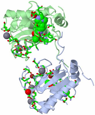 Image Asym./Biol. Unit - sites