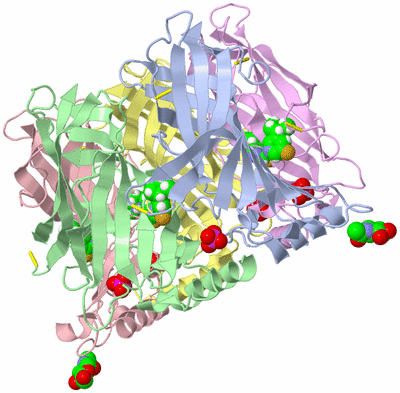 Image Biological Unit 1