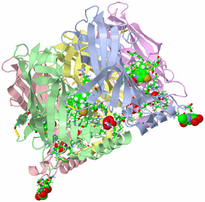 Image Biol. Unit 1 - sites