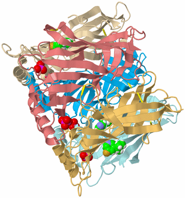 Image Biological Unit 2