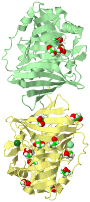 Image Biological Unit 2