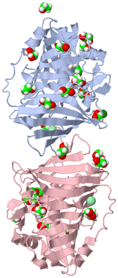Image Biological Unit 3
