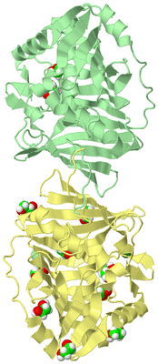 Image Biological Unit 4