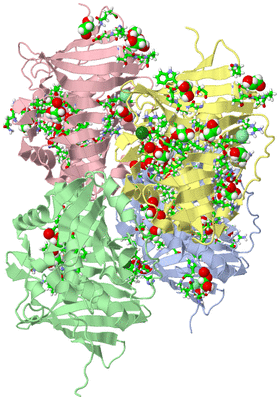 Image Asym. Unit - sites