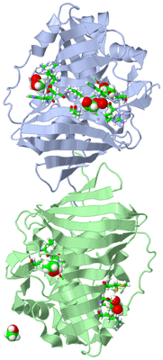 Image Biol. Unit 1 - sites