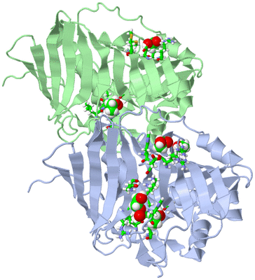 Image Asym. Unit - sites