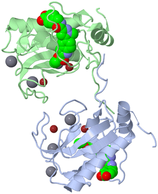 Image Asym./Biol. Unit