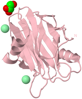 Image Biological Unit 3