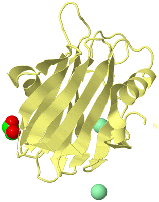 Image Biological Unit 4