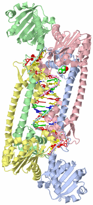 Image Asym./Biol. Unit