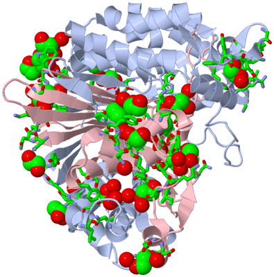 Image Biol. Unit 1 - sites