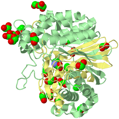 Image Biological Unit 2