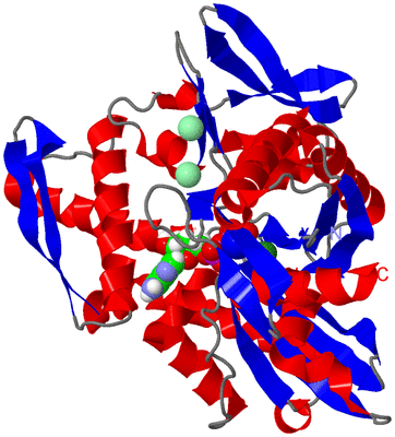 Image Asym./Biol. Unit