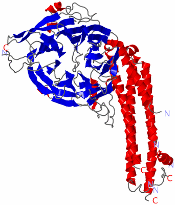 Image Asym./Biol. Unit