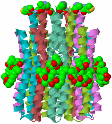 Image Biological Unit 2