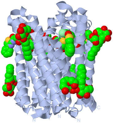 Image Biological Unit 1