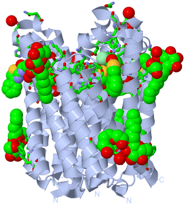 Image Biol. Unit 1 - sites