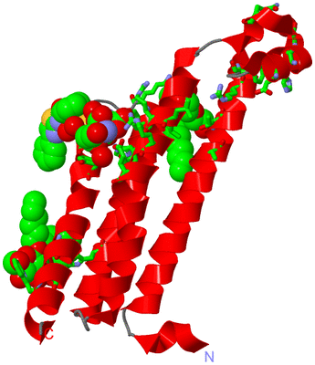 Image Asym. Unit - sites