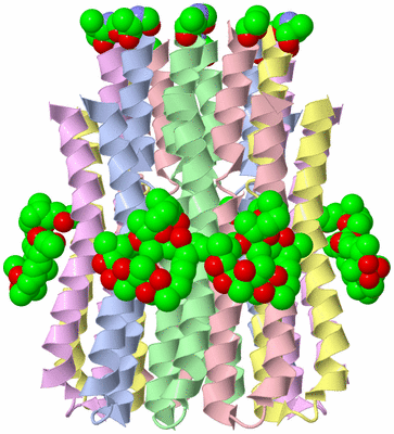 Image Biological Unit 1