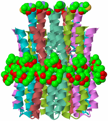 Image Biological Unit 2