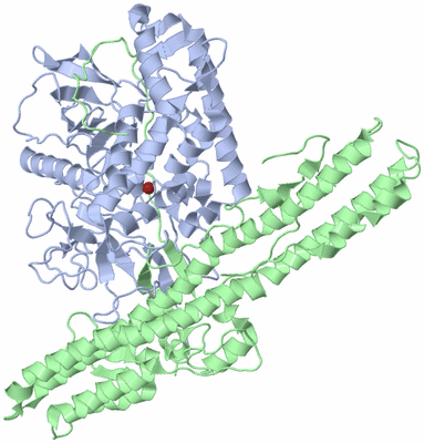 Image Biological Unit 1