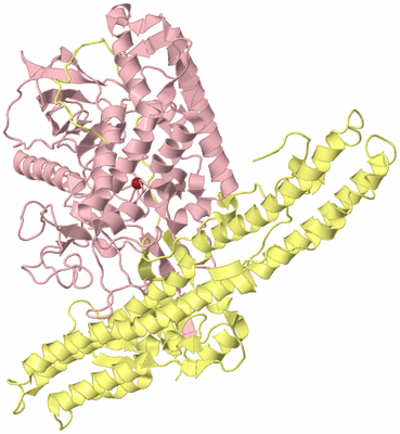 Image Biological Unit 2