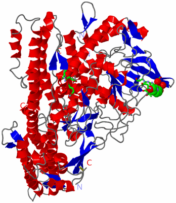 Image Asym./Biol. Unit - sites