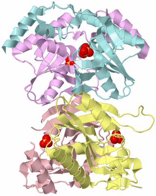 Image Biological Unit 2