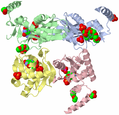 Image Asym./Biol. Unit