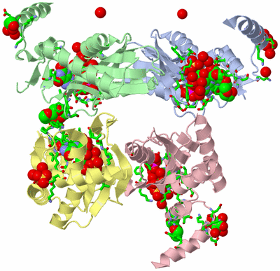 Image Asym./Biol. Unit - sites