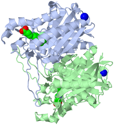 Image Asym./Biol. Unit