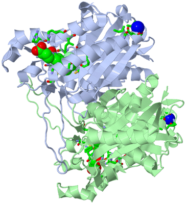 Image Asym./Biol. Unit - sites