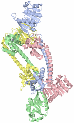 Image Asym./Biol. Unit