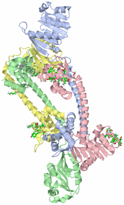 Image Asym./Biol. Unit - sites