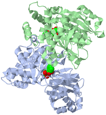 Image Asym./Biol. Unit