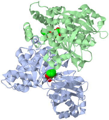 Image Asym./Biol. Unit