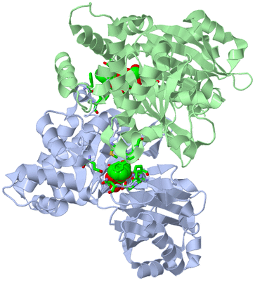 Image Asym./Biol. Unit - sites