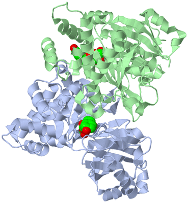 Image Asym./Biol. Unit