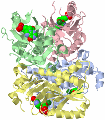 Image Asym./Biol. Unit