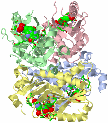 Image Asym./Biol. Unit - sites