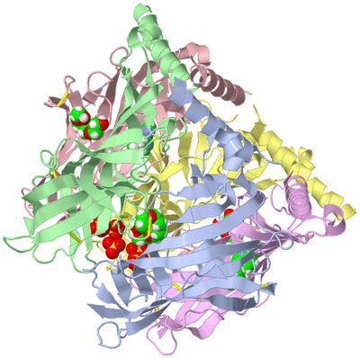 Image Biological Unit 1