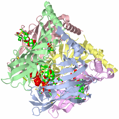 Image Biol. Unit 1 - sites